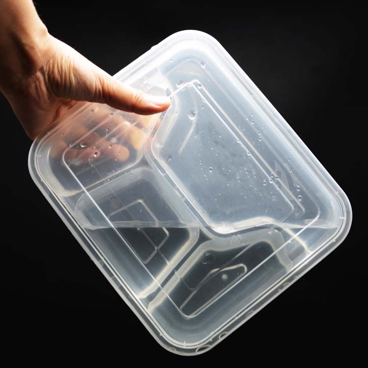 Disposable Multi Compartment Food Packing
