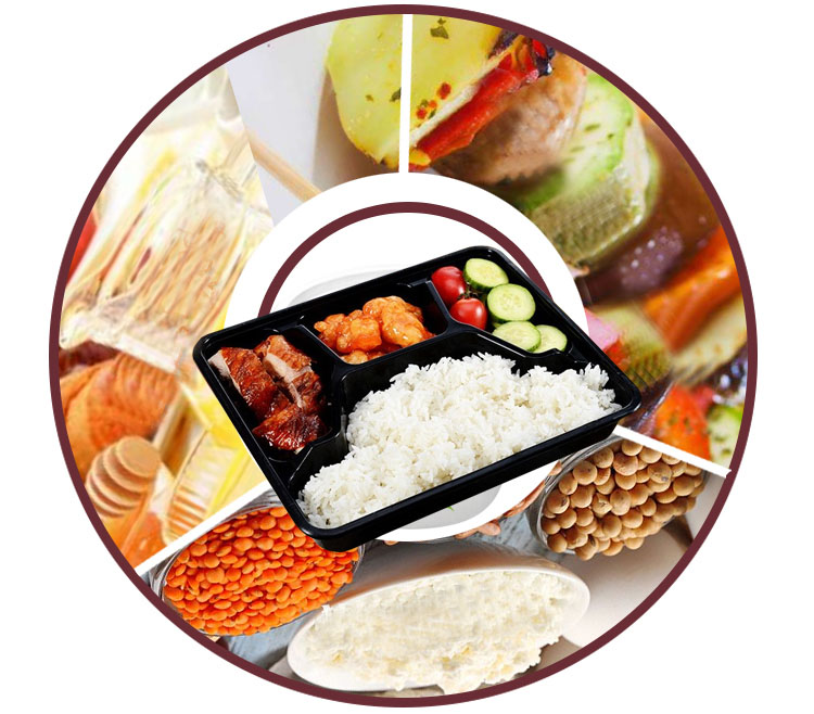 Multi Compartment Food Containers