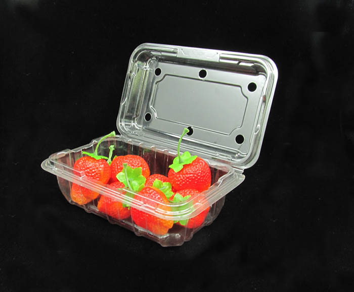 disposable meal prep containers manufacture