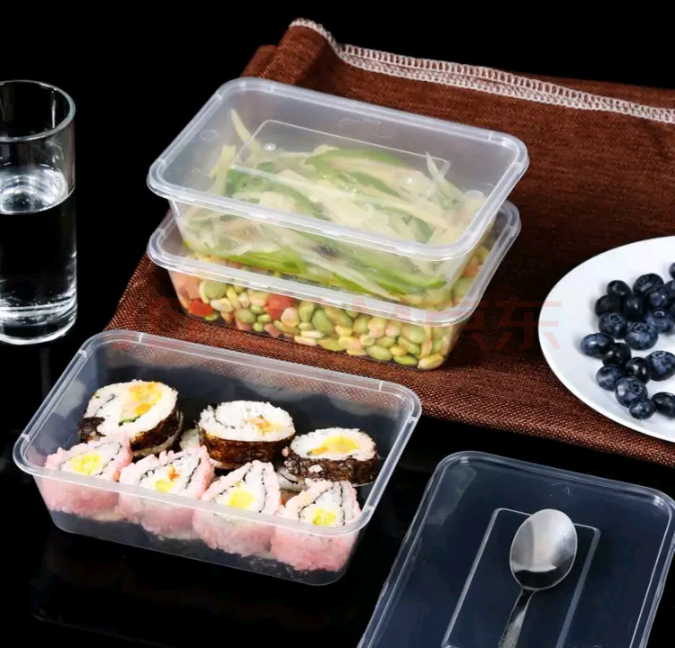 Disposable rectangle food container with lid
