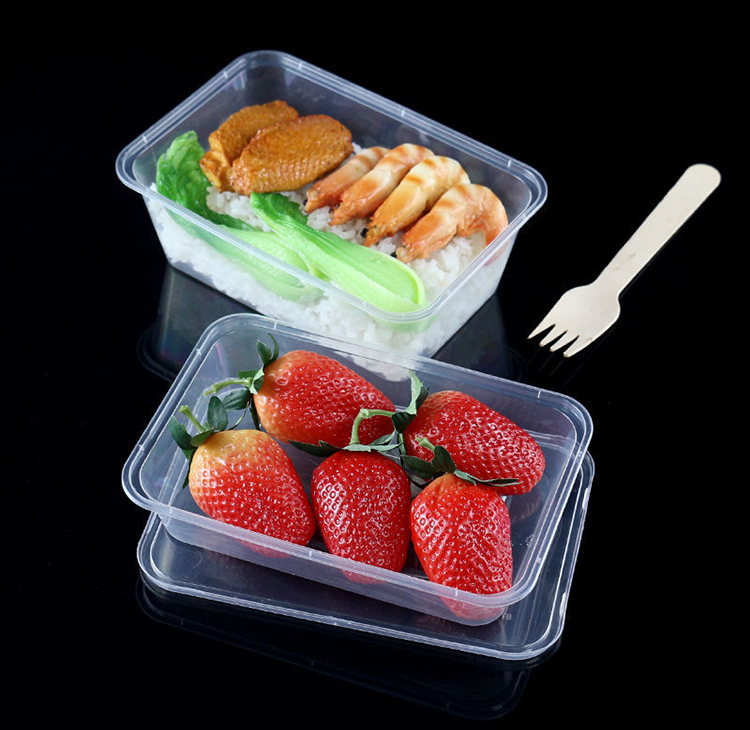 Disposable plastic rectangle take away container