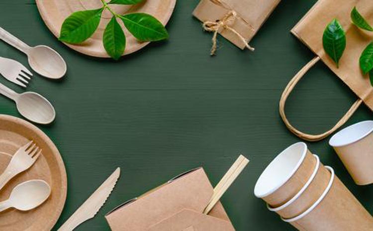 Disposable Kraft Paper Food Containers