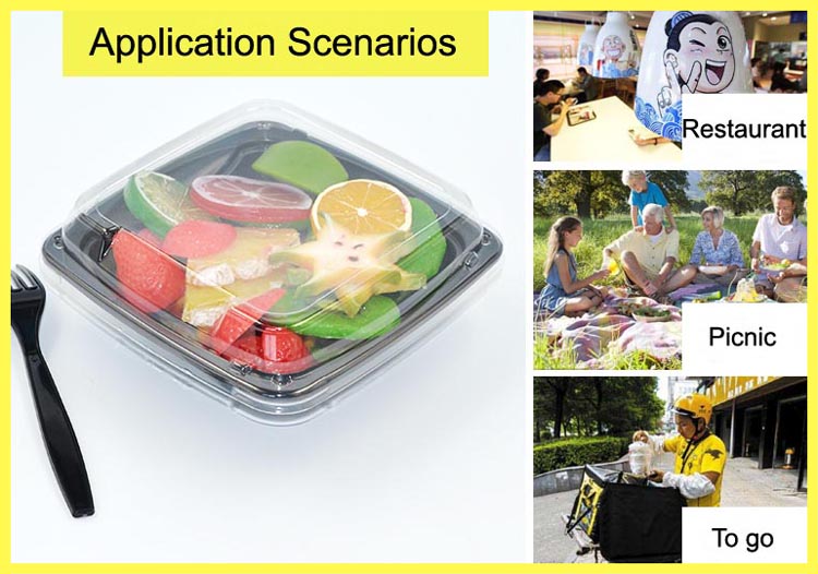 Disposable Clear Square Lunch Containers