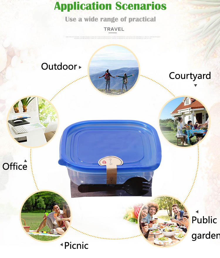 Disposable Keep Fresh Plastic Food Storage Containers