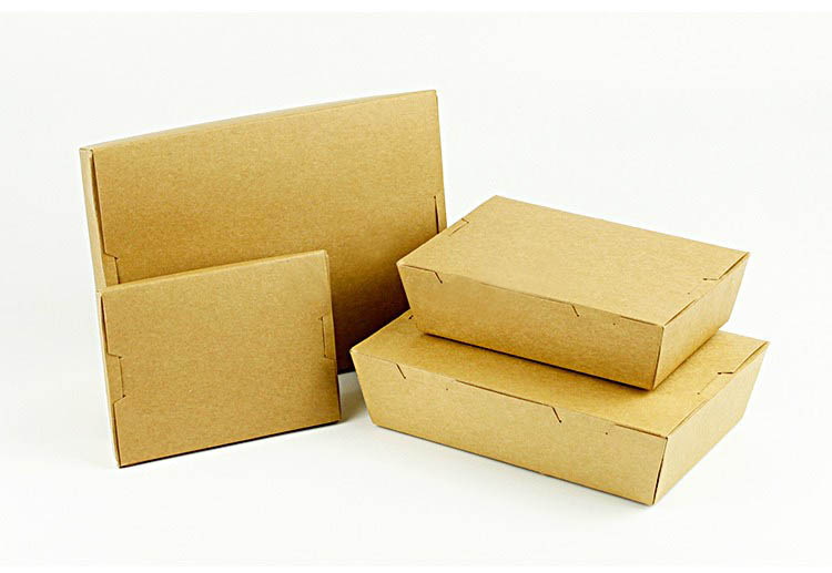 Disposable Kraft Paper Brown Salad Boxes