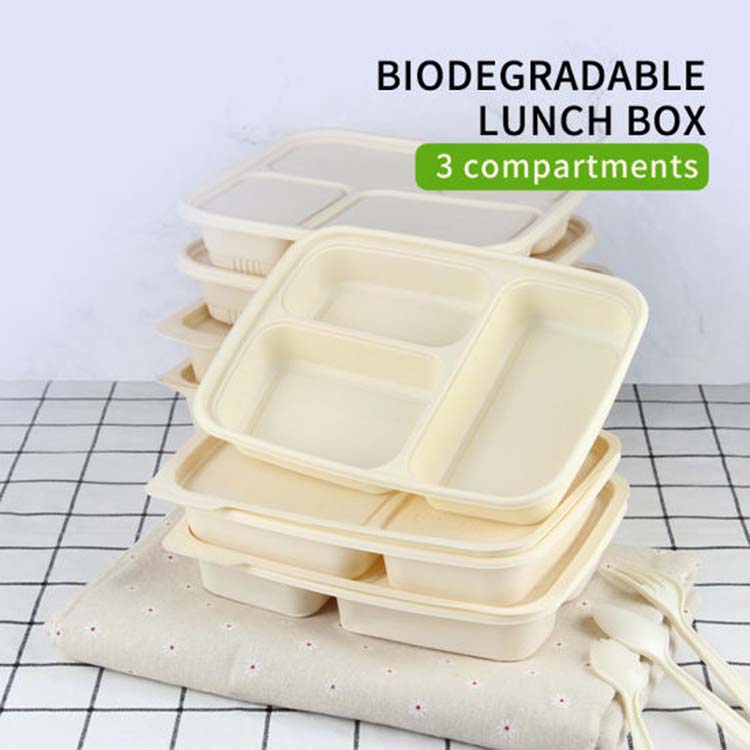 Disposable plastic luch containers