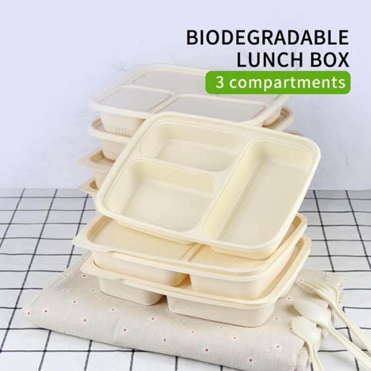 Disposable plastic luch containers