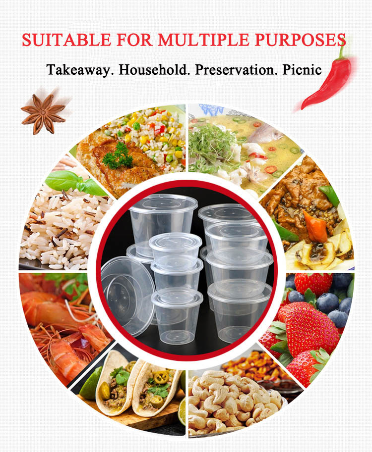 Disposable Transparent PP Food Container With Lid