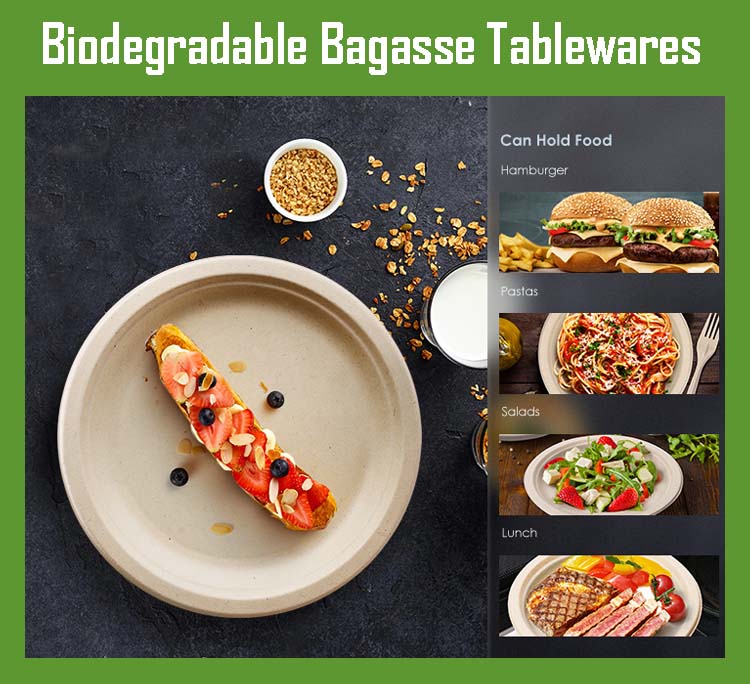 Biodegradable Sugarcane Plates