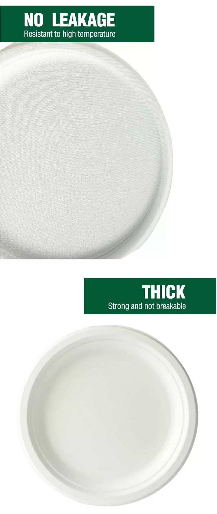 Biodegradable Tableware 