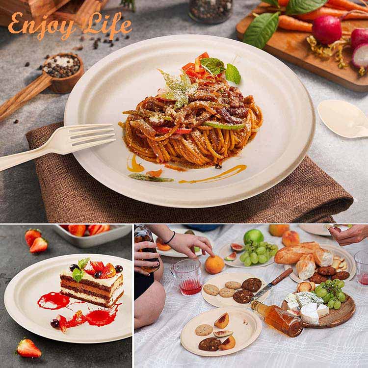 China Biodegradable Tableware Supplier