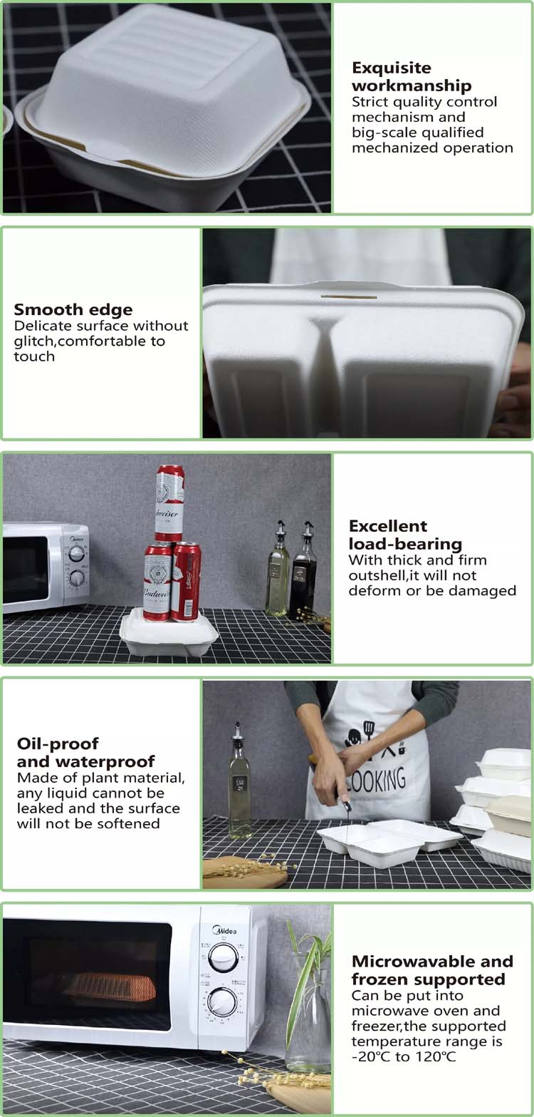 Single Compartment Clamshell Takeout Box