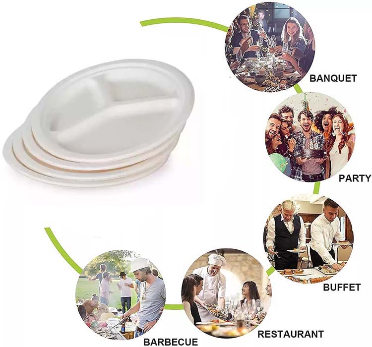 Biodegradable Bagasse Tableware