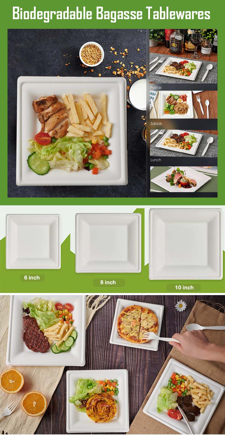 Biodegradable Bagasse Square Plates