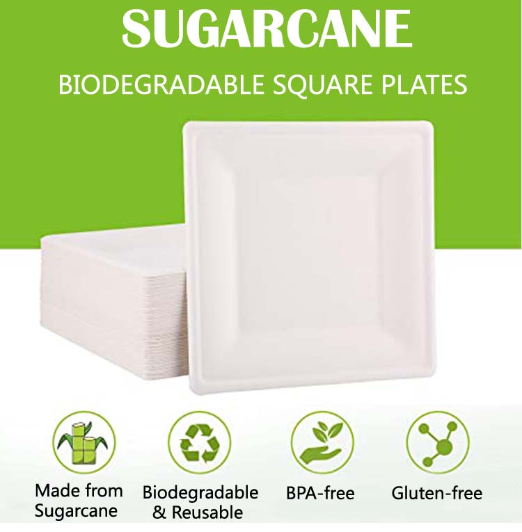 Disposable Sugarcane Bagasse Plates