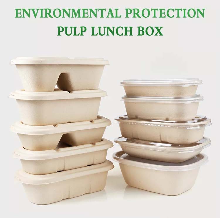 Disposable Sugarcane 2-Compartment Boxes