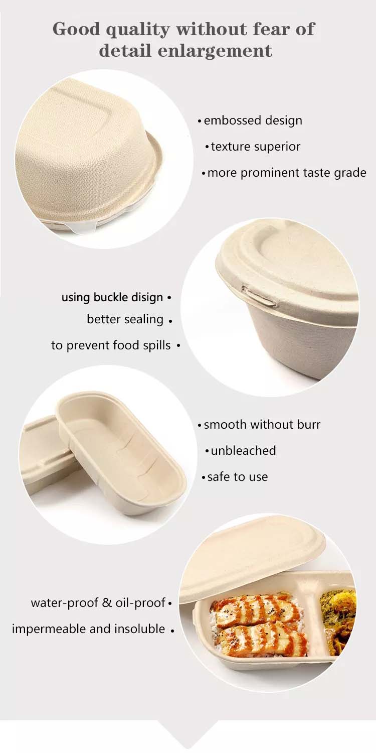 Biodegradable Sugarcane Pulp Salad Boxes