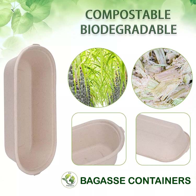 Biodegradable Salad Bowls