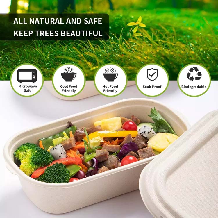 Biodegradable Sugarcane Pulp Salad Boxes