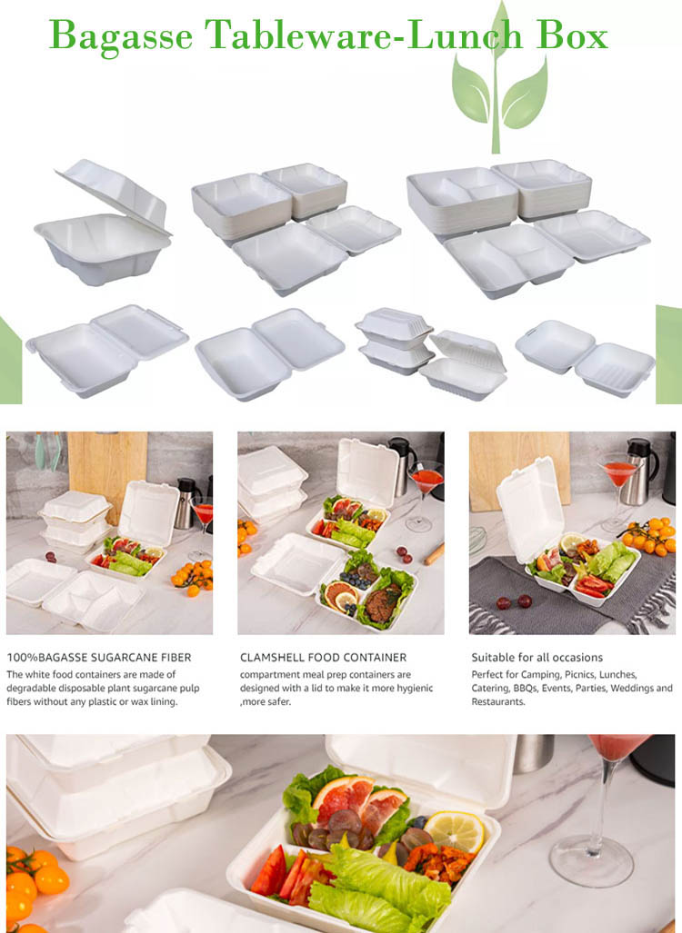 Biodegradable Pulp Food Storage Container