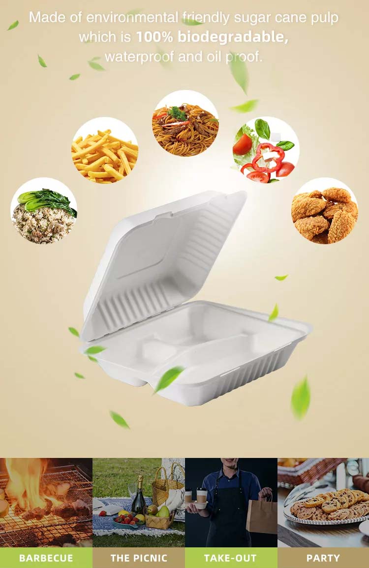 Disposable Takeout Pulp Food Boxes Manufacturer