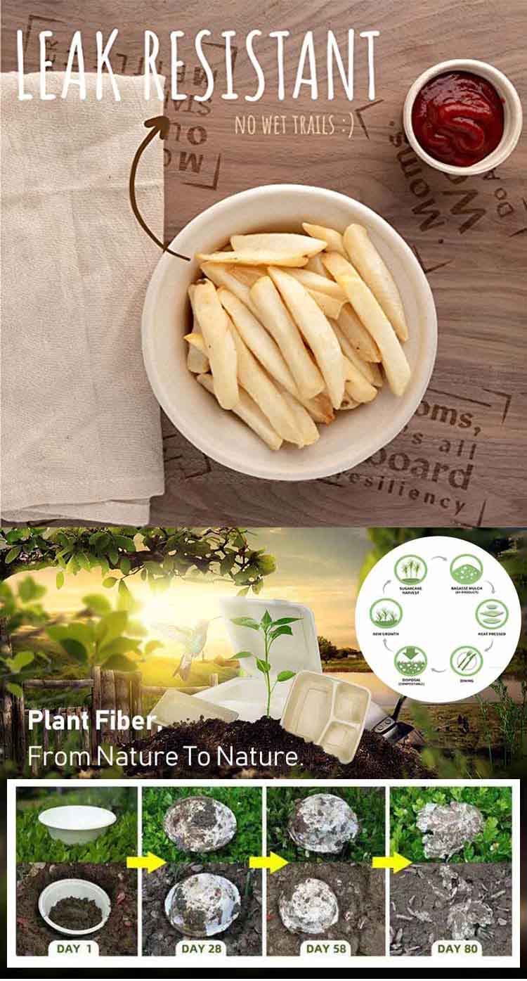 China Biodegradable Salad Bowls Supplier