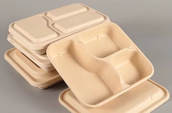 Eco-friendly paper food packaging