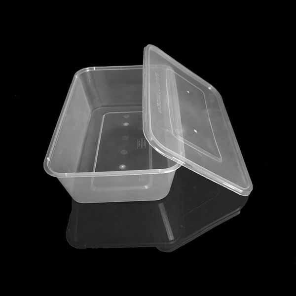 Disposable Retangle Lunch box with lid