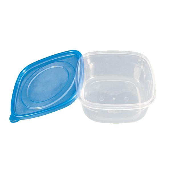 China Disposable Square Food Storage Containers