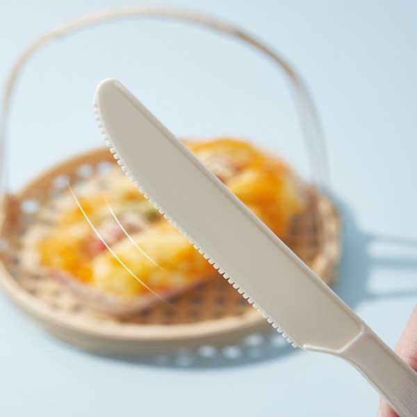 Disposable Biodegradable Cutlery Set