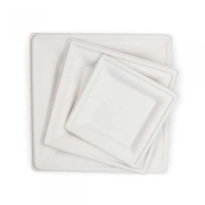 Disposable Sugarcane Bagasse Plates