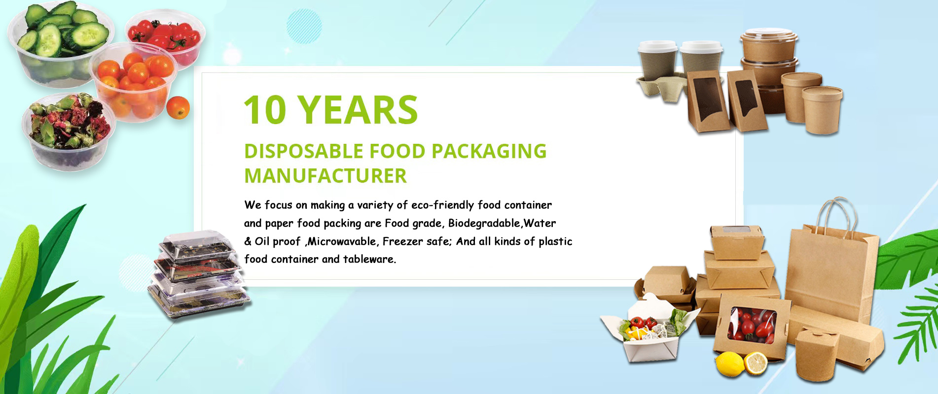 Disposable Food Packaging Manufacturer