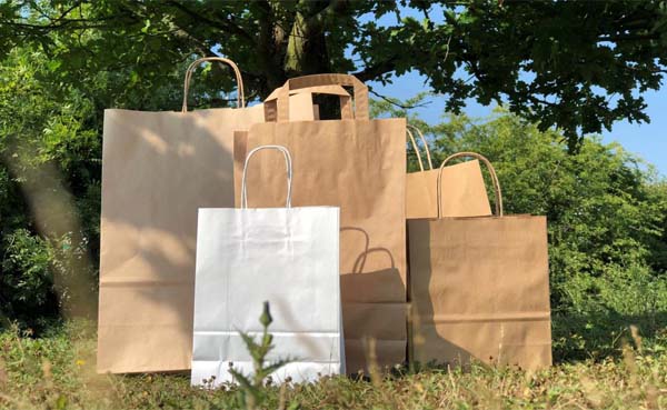 Why You Should Opt Using Paper Bags in The Food Industry